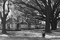 A black-and-white photograph of a Black child standing near tall trees and huts