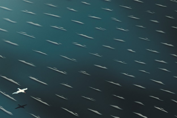 A vast expanse of water with whitecaps, with a single albatross flying and casting a shadow at lower left