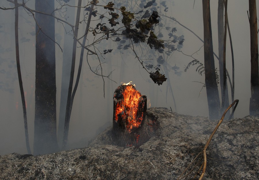 Photos of the Deadly Wildfires in Portugal The Atlantic
