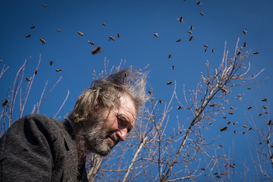A man works outside, as many bees swarm around him.