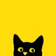 an illustration of a black cat peeking out onto a yellow background. the cat looks mischievous.