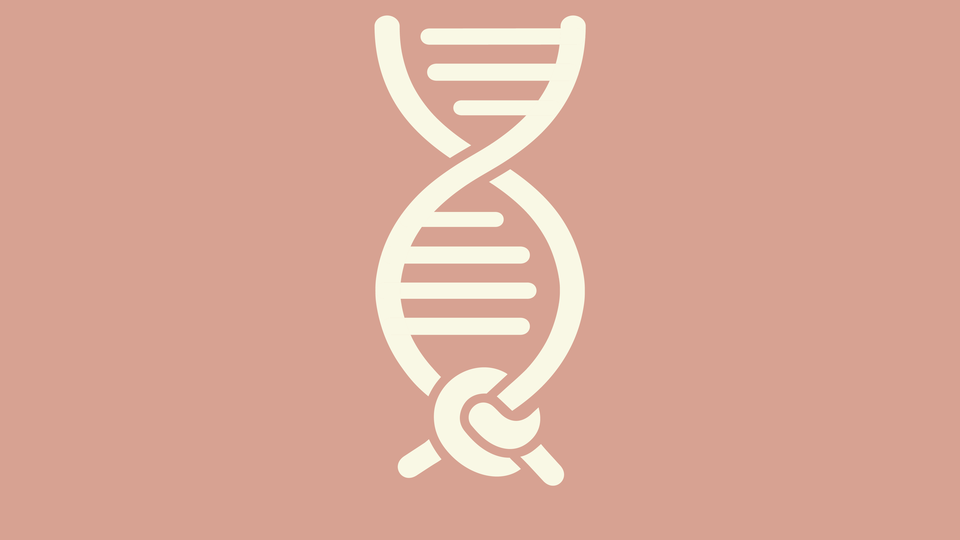 two strands of DNA are tied together at the bottom in a knot