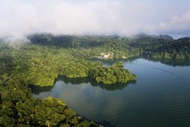 High-vantage shot of a lush forest bordering a body of water