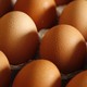 A closeup of glistening brown eggs in a carton