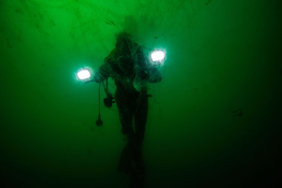 A diver is seen in dark green water, with sea snot floating all around.
