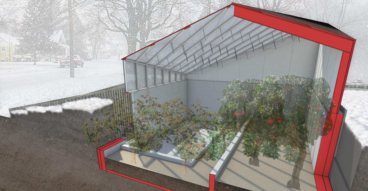 Abandoned Homes in Detroit Are Being Turned Into Greenhouses The Atlantic
