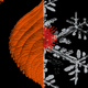 An illustration of an autumn leaf and a snowflake with coronavirus cells