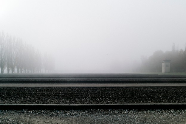 Photo of foggy landscape with trees and tower in distance