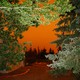 The Willamette Valley, in Oregon, with an orange sky