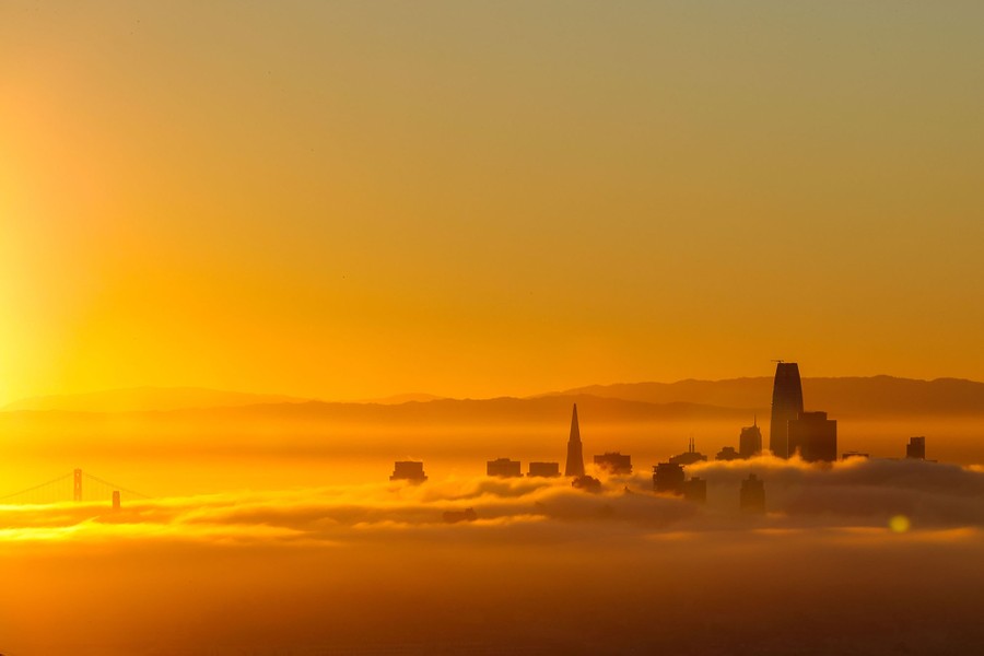 Tall buildings of San Francisco poke up through fog at sunrise.