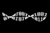 Computer code twisting like a DNA helix