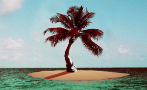 An illustration of a palm tree on a small island