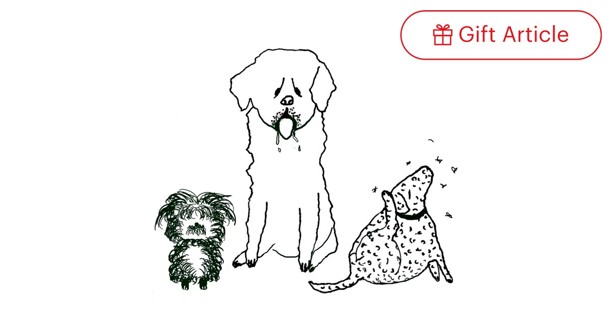 Service dog sale stories reddit