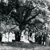 A wedding at the Bridegroom's Oak, 1927