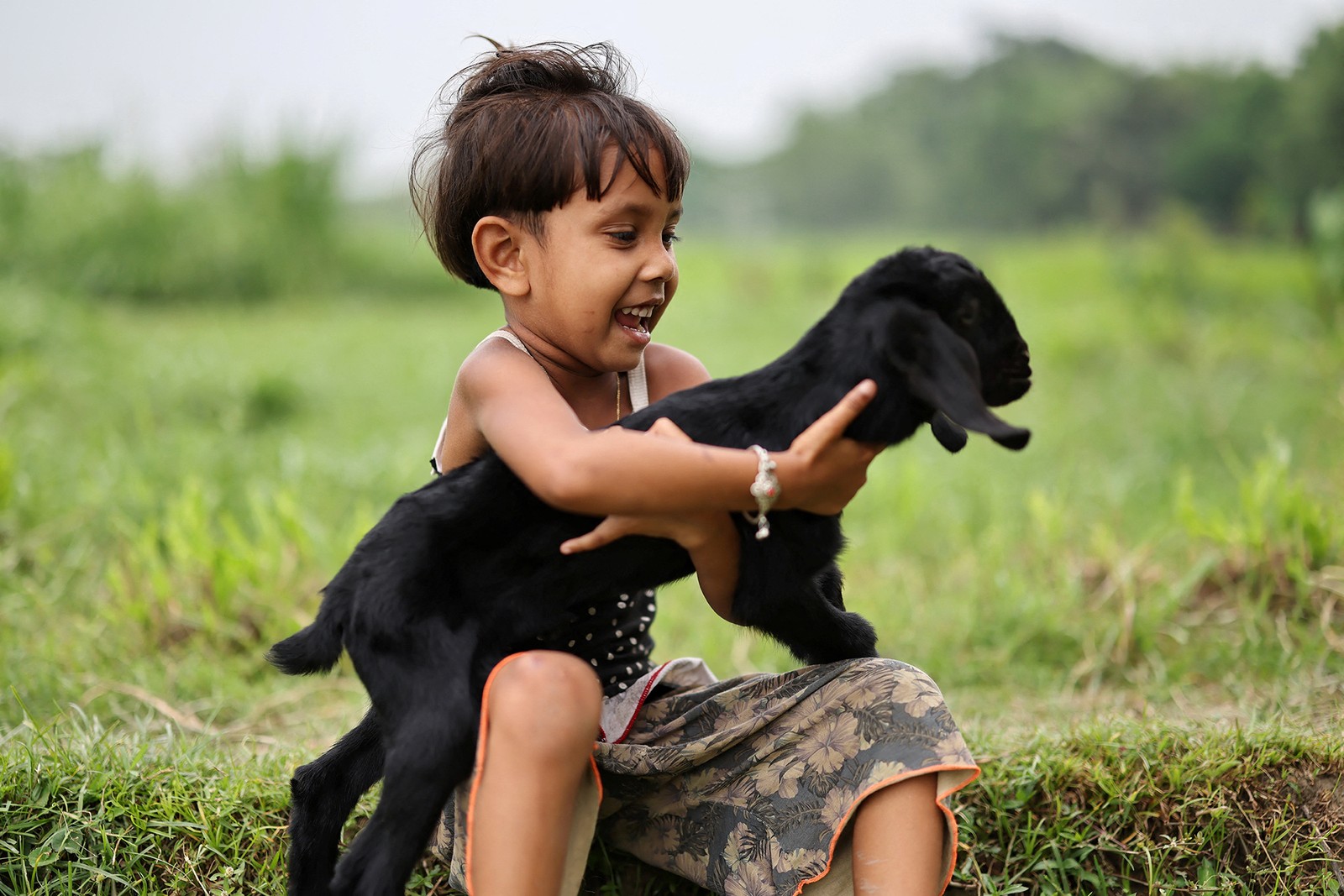 A girl plays with a baby goat.