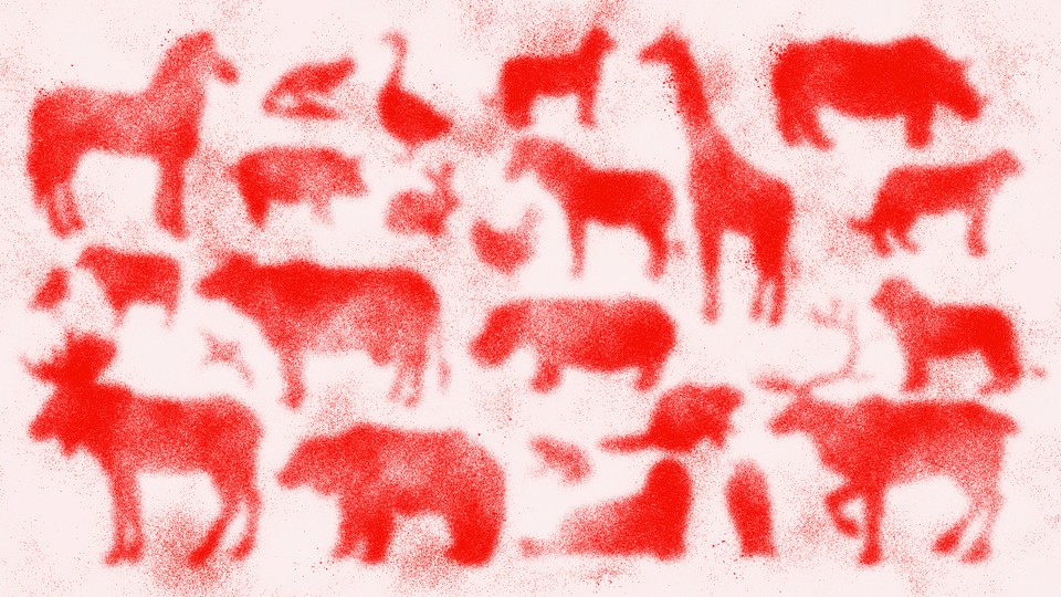 A hazy collage of different mammals silhouetted in red