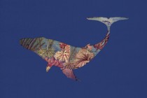 A silhouette of a whale filled in with a vintage illustration of sea life