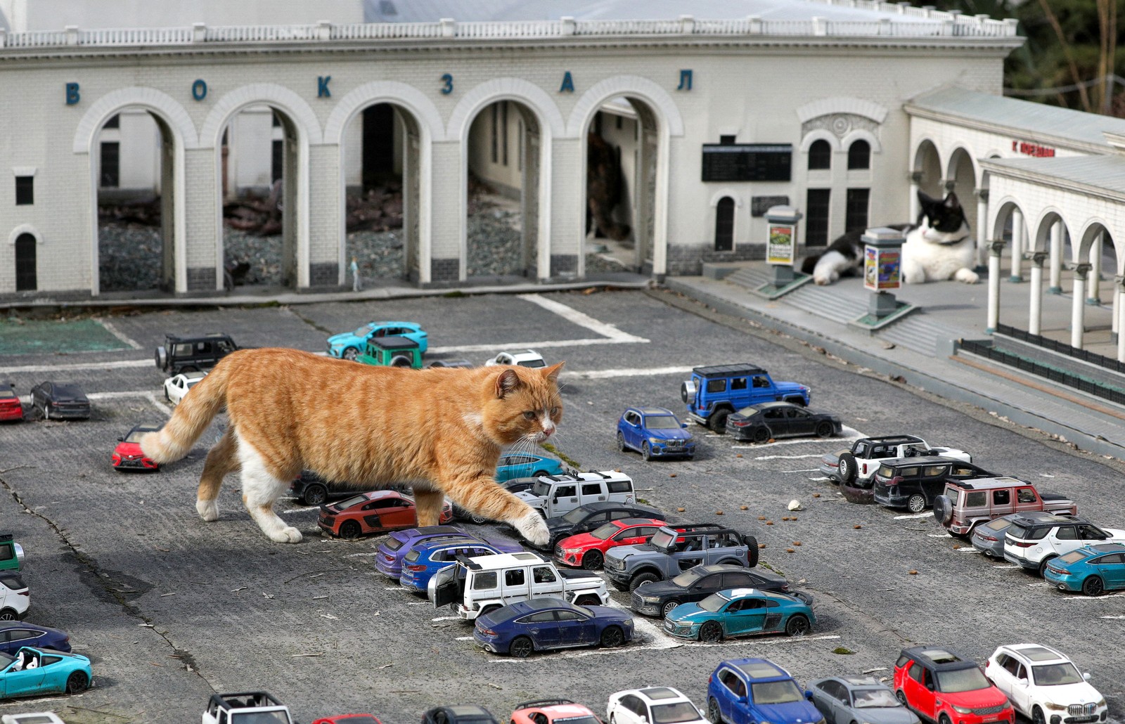 A cat walks among miniature cars in a model parking lot at a zoo, making it appear as if the cat was gigantic.