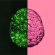 two views of the human brain
