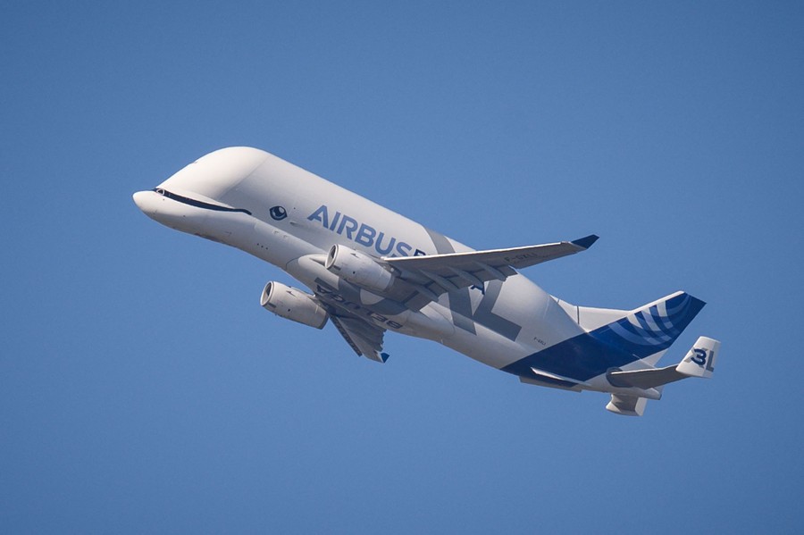 A large aircraft with the face of a beluga whale painted across its nose takes off.