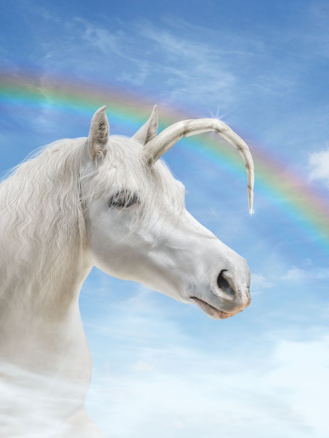 unicorn with bent horn