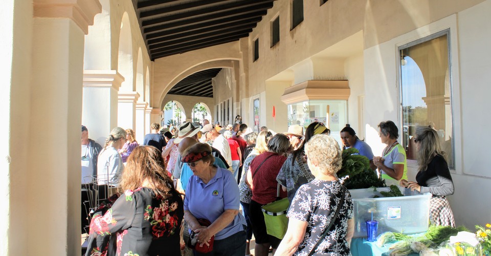 Local Efforts in a Time of Extreme Global Stress