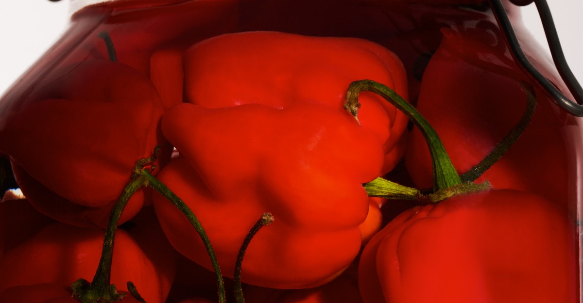 The Big Pepper and Brine Man