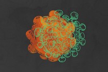 A cartoon drawing of a virus overlaid on a extracellular vesicle