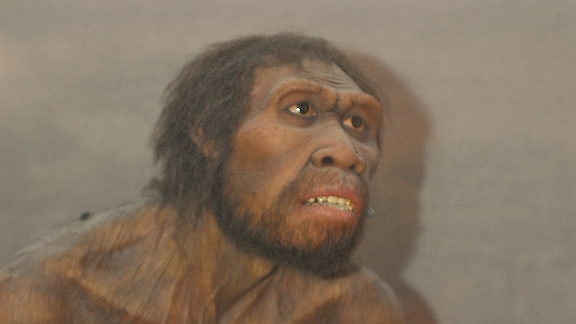 Did Toolmaking Pave the Road for Human Language? The Atlantic
