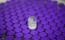 A Pfizer COVID-vaccine vial with a purple cap, on top of a large array of other Pfizer vials. The vial on top is clear; the rest of the image is out of focus.