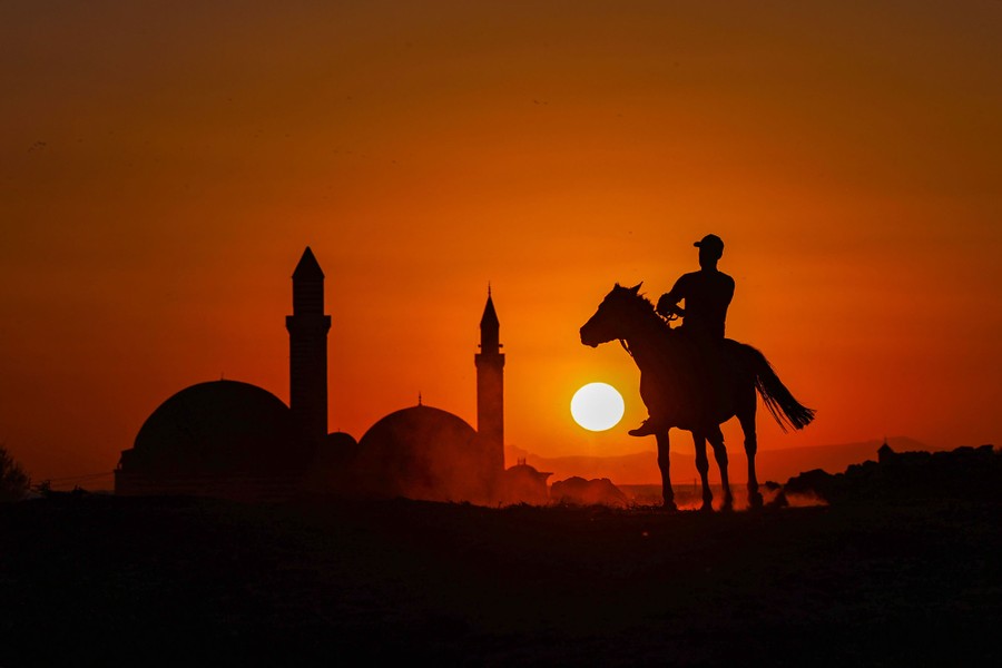 A rider on a horse is seen silhouetted in front of a sunset.