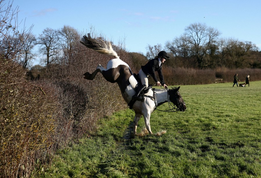 A rider holds on as a horse leaps over a tall hedge.