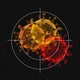 coronavirus variants inside crosshairs