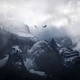 Two large birds fly in front of tall snow-covered mountains shrouded in clouds.