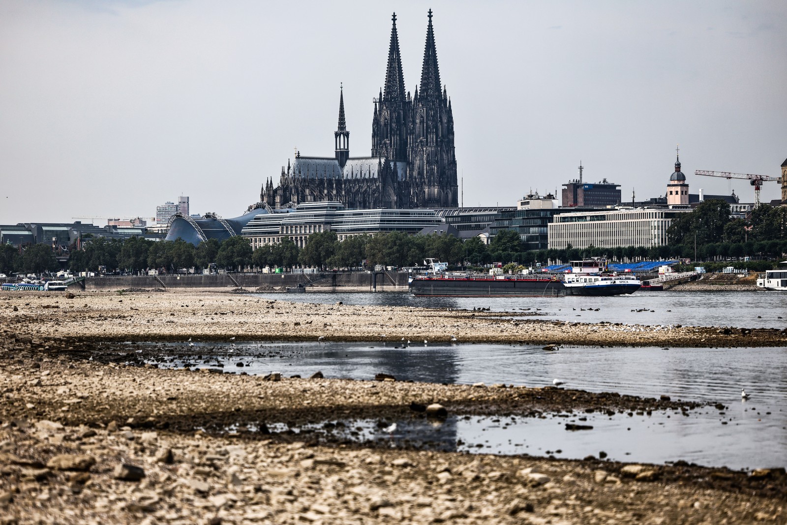 A view of the Cologne Cathedral, seen from a dry riverbed nearby