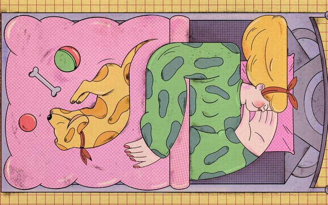 A drawing of a woman sleeping in bed, her dog curled up on top of the blanket, surrounded by dog toys
