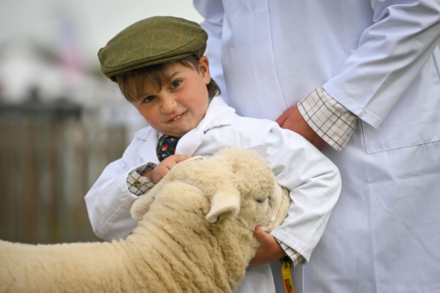 A boy makes a face as he holds a sheep's head during an agricultural fair.