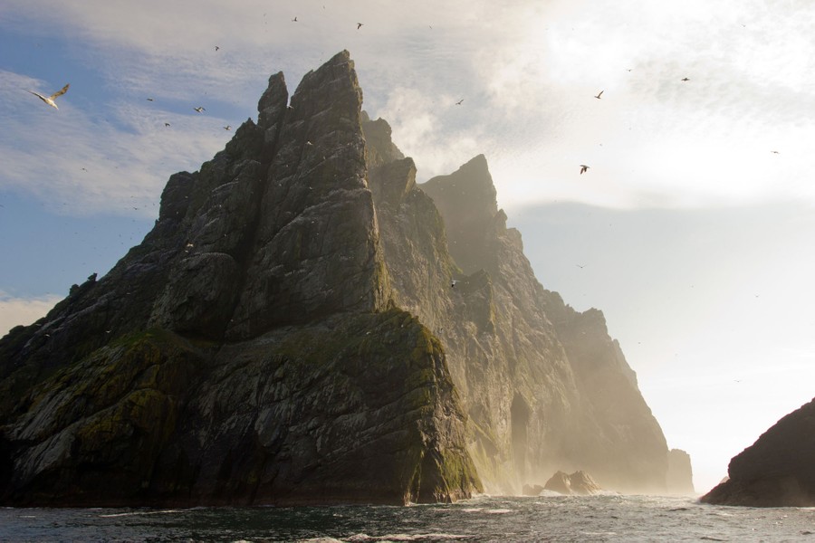 Seabirds fly around a steep and rugged island cliff.