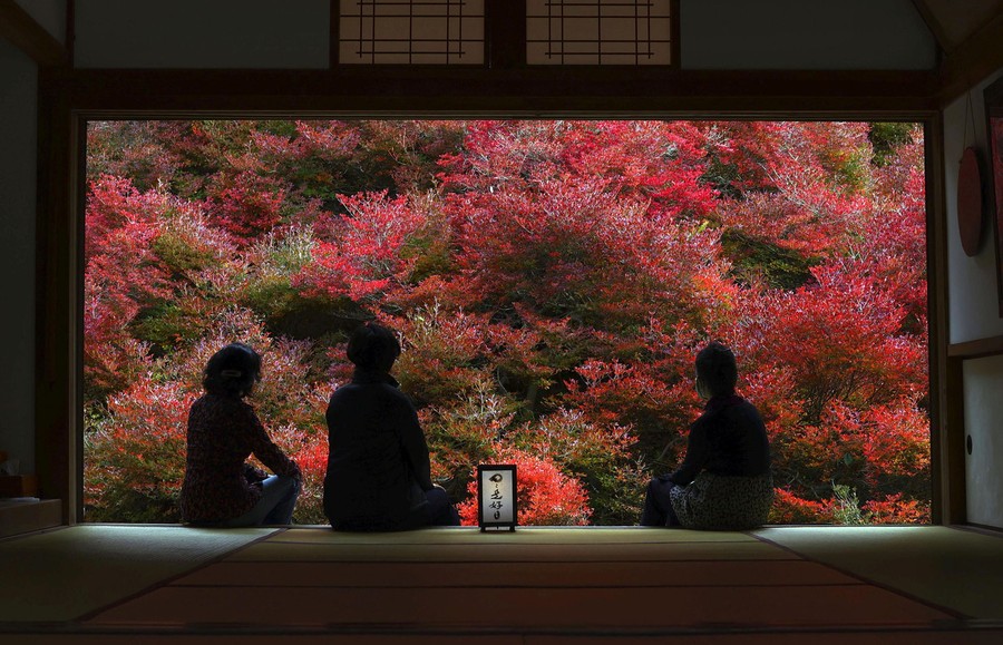 Several people sit in an open doorway in front of colorful trees.