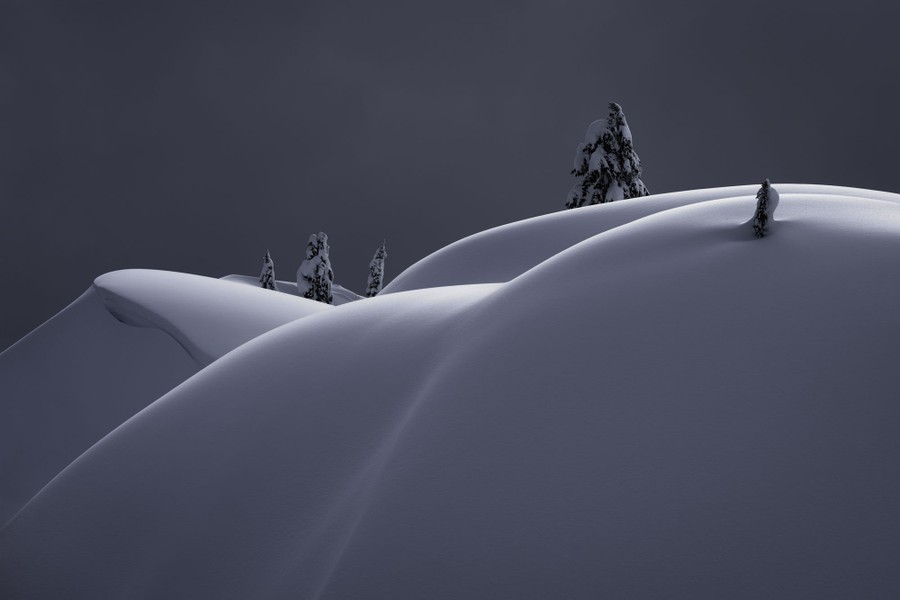 Deep snow covers a rounded hillside with several pine trees poking out.