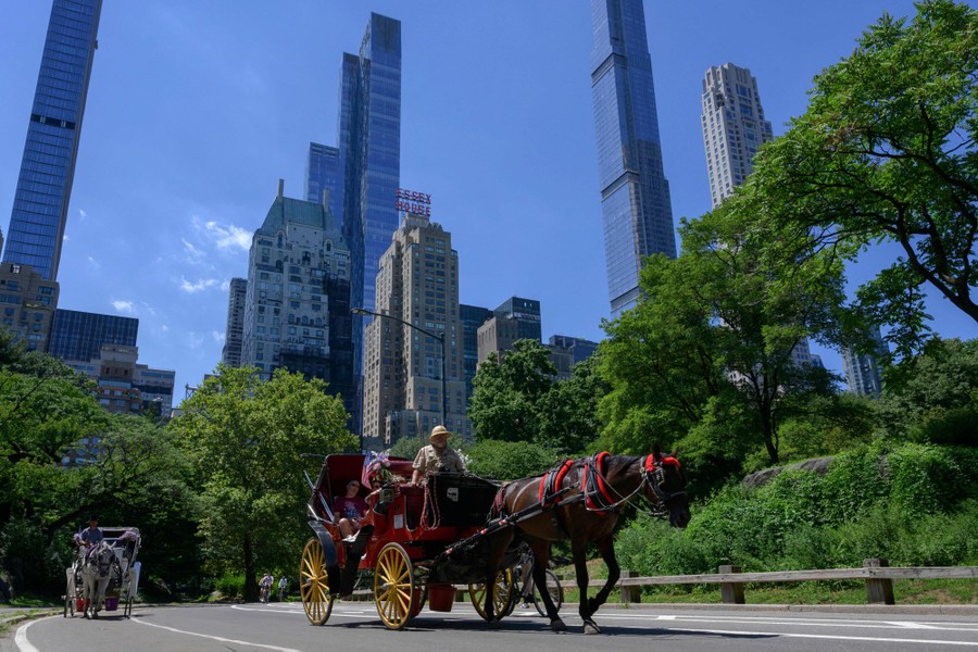 Horse-drawn carriages carry customers through New York's Central Park.