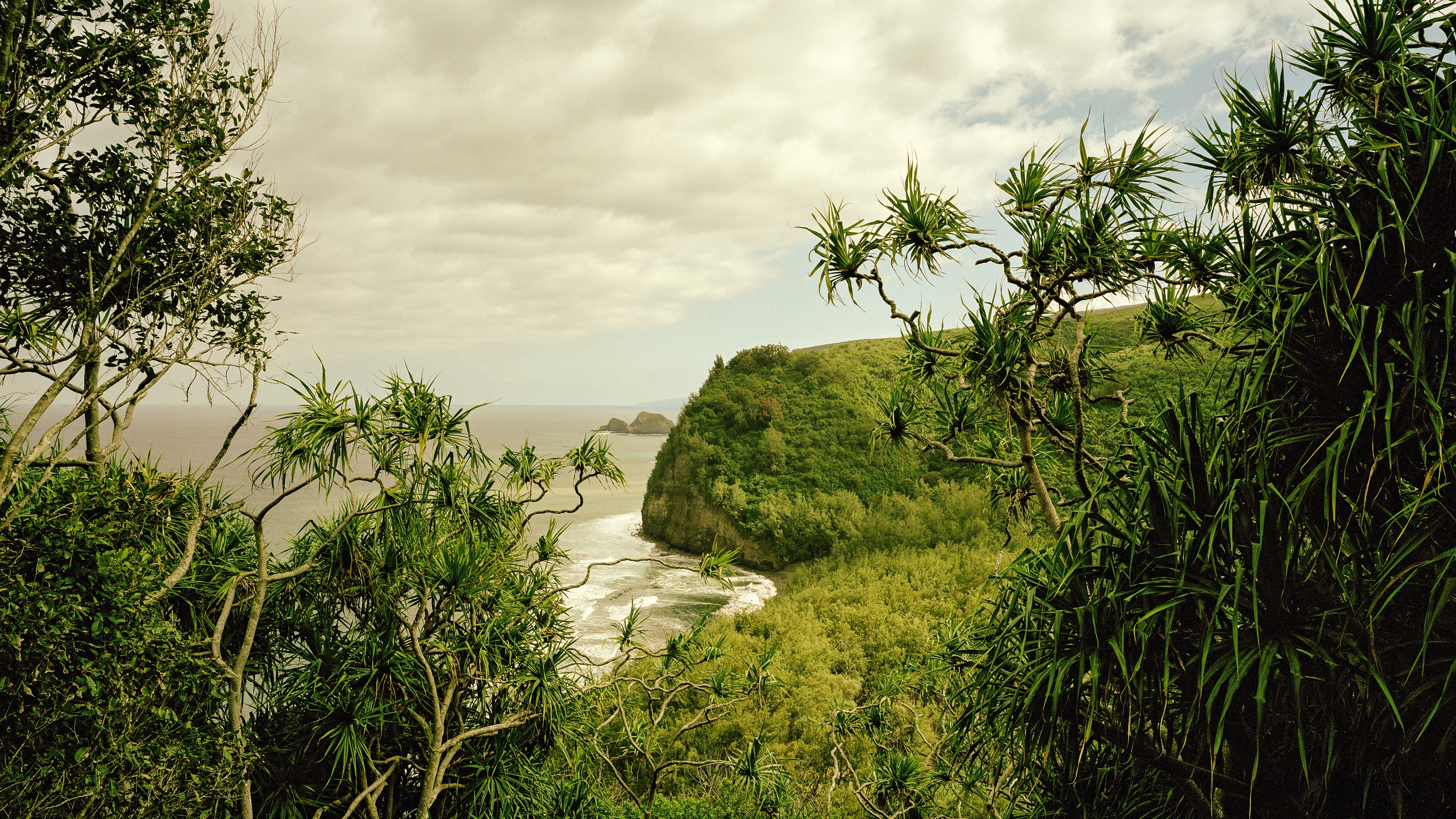 The Hawaiians Who Want Their Nation Back