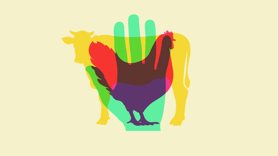 A translucent human hand over a cow over a chicken