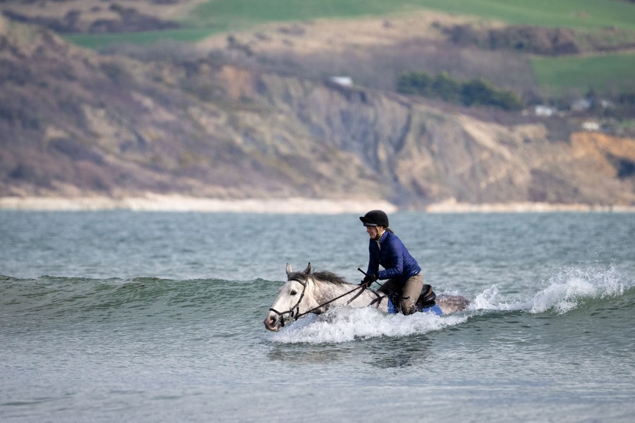 A horse and rider catch a wave in gentle surf.