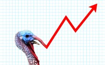 An illustration of a turkey and a line graph pointing upwards