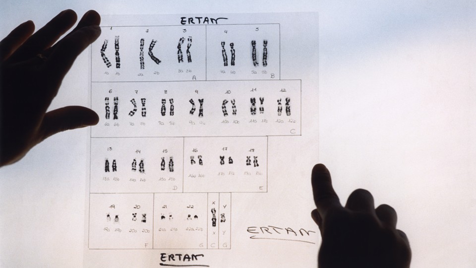 Images of the 23 pairs of human chromosomes