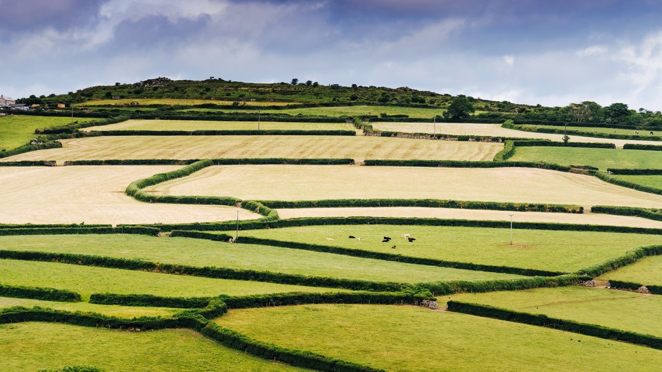 A patchwork of fields on Bodmin Moor in Cornwall