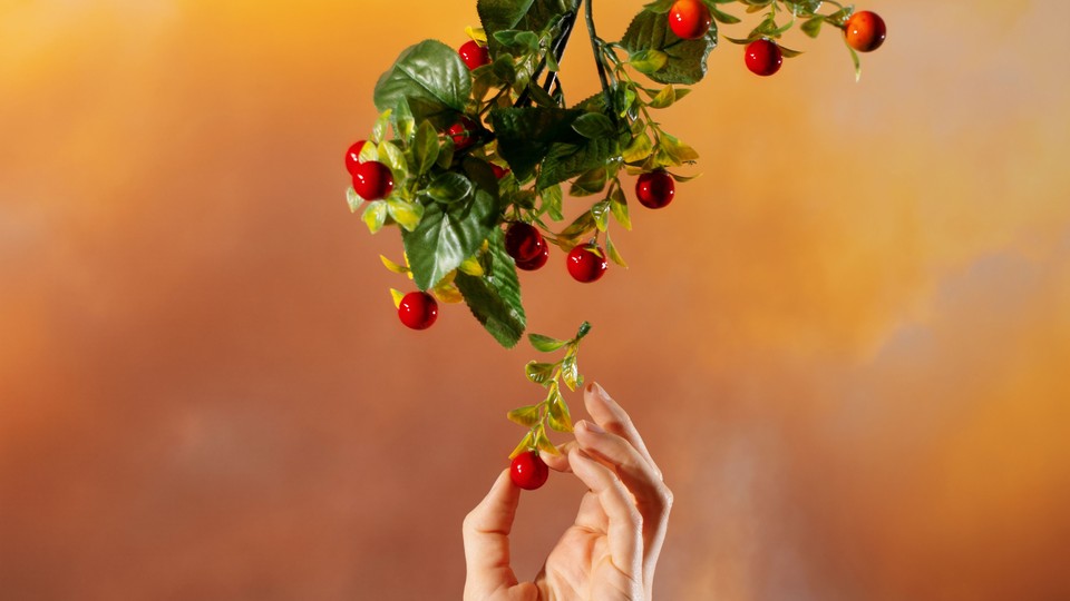 A hand picking red berries from a stem