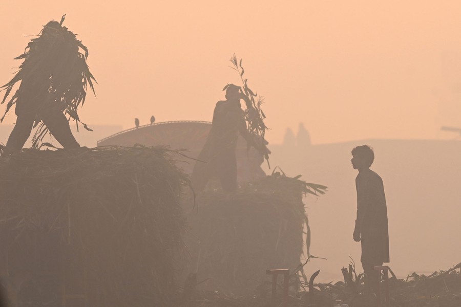 Several workers harvest crops in a field beneath a smoggy sky.