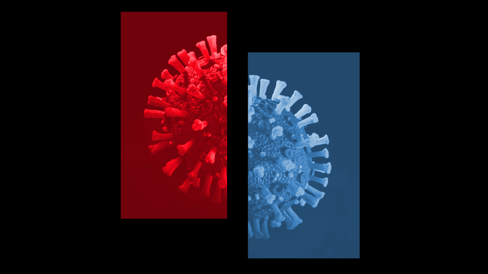 Artwork of the coronavirus divided into red- and blue-shaded halves